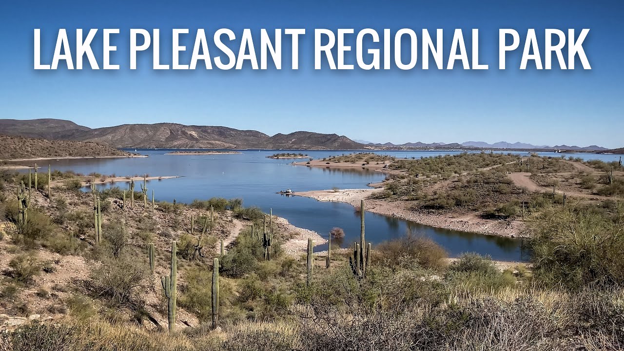 Shoreline and saguaros at Lake Pleasant Regional Park north of Peoria, Arizona
