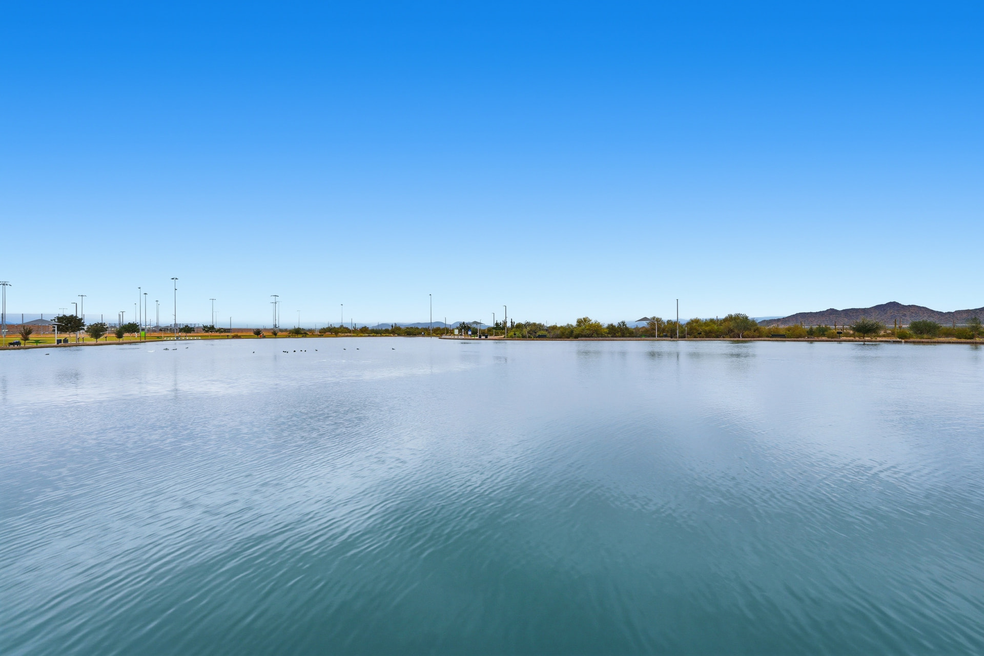 Wide urban fishing lake at Paloma Community Park with desert mountains beyond