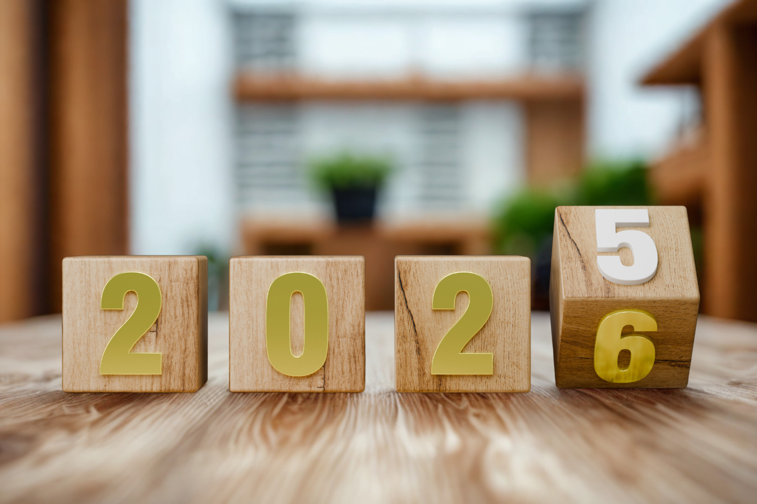 2025... A Mostly Uneventful Year